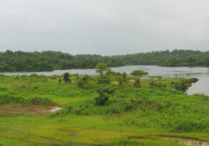 gallery 16 srushti pawale dam