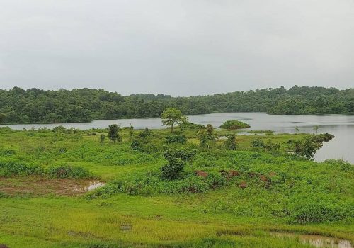 Pawale Dam